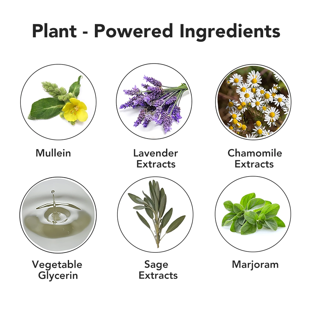 Mullein Detox - Pure Plus 600 | Botanical Wellness Inhaler - Lung Detox Diffuser