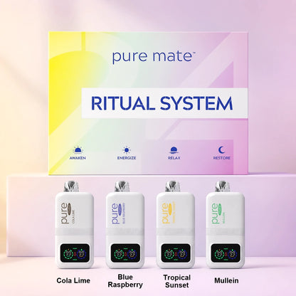 Pure Mate 24H Ritual Kit Set 1 with Cola Lime Blue Raspberry Tropical Sunset and Mullein