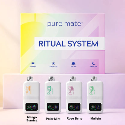 Pure Mate Ritual Set 3 with Mango Sunrise Peppermint Rose Berry and Mullein