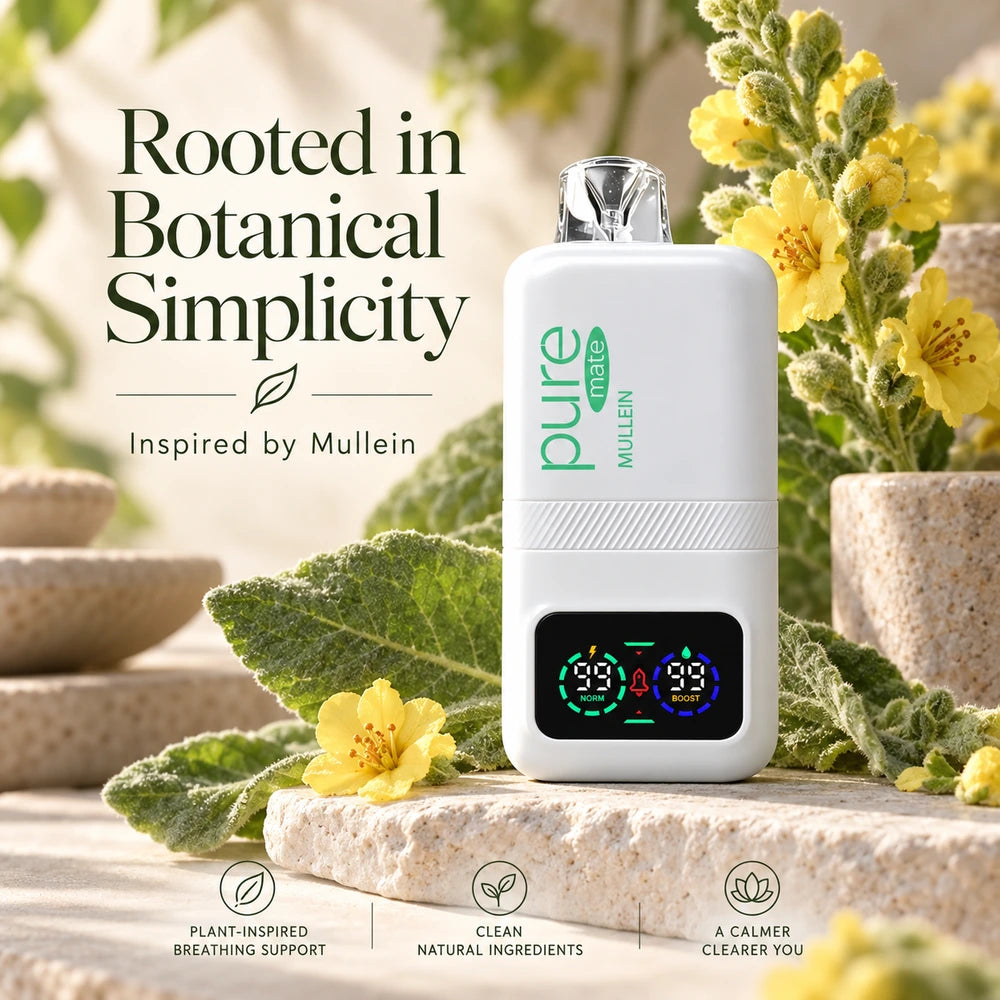 Pure Mate Mullein botanical inhaler displayed with mullein leaves and yellow flowers