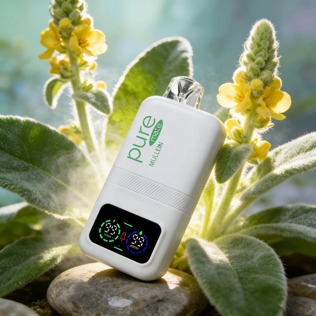Pure Mullein Vape Pen | Lung Reset Detox - Pure Mate 10000 PURE DIFFUSER Pure Mullein Vape Pen | Lung Reset Detox - Pure Mate 10000 PURE DIFFUSER